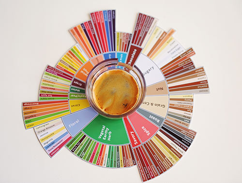 roue des saveurs du café
